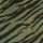 Green Zebra