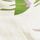 Green White
