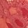 Rose/Soft Pink