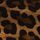 Leopard Print