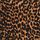 Leopard Print