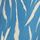 Blue Zebra