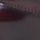 Burgundy Red