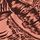 Pink Palm Print
