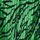 Green Zebra Print