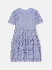 Angel & Rocket Cornflower Blue Mavea Lace Dress - Image 5 of 6