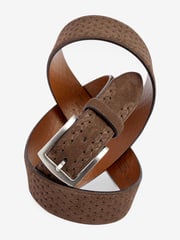 Neutral Signature Suede Textured Belt - Image 2 of 4