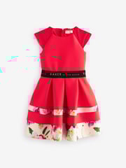 Baker by Ted Baker Panel Scuba Dress - Image 5 of 9