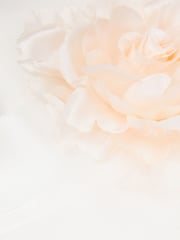 Monsoon White Duchess Eleanor Twill Dress - Image 2 of 2