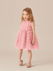 Pink Sleeveless Mesh Dress (3mths-7yrs) - Image 2 of 5