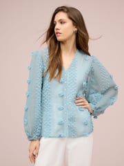 Blue Sheer V-Neck 3D Tufty Puff Sleeve Blouse - Image 1 of 6