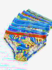 Bright Dinosaur Cotton Briefs 7 Pack (1.5-10yrs) - Image 10 of 10