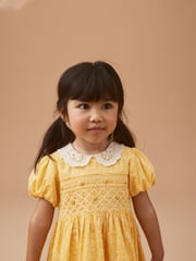 Yellow Lace Collar Shirred Dress (3mths-8yrs) - Image 4 of 8