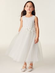 Baker by Ted Baker Mesh Occasion Dress - Image 1 of 10