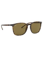 Schildpatt, Braun - Ray-Ban® Eckige Sonnenbrille - Bild 3 von 14