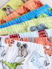 Bright Cotton Briefs 7 Pack (1.5-10yrs) - Image 10 of 11