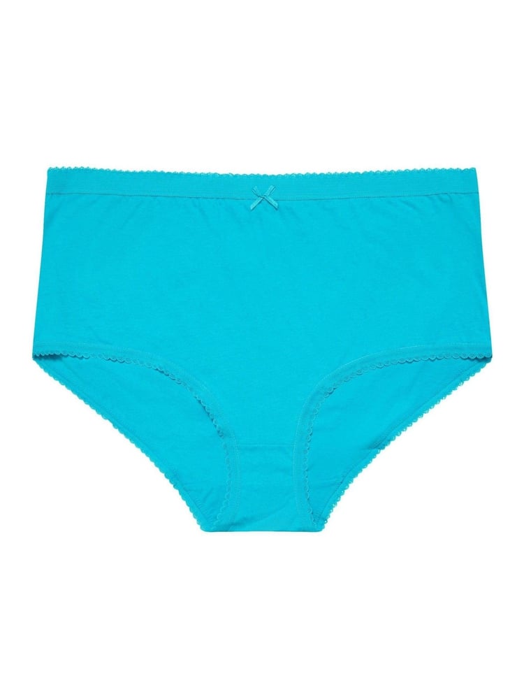 Yours Curve Blue Full 100% Cotton Briefs 5 Pack - Image 5 of 5