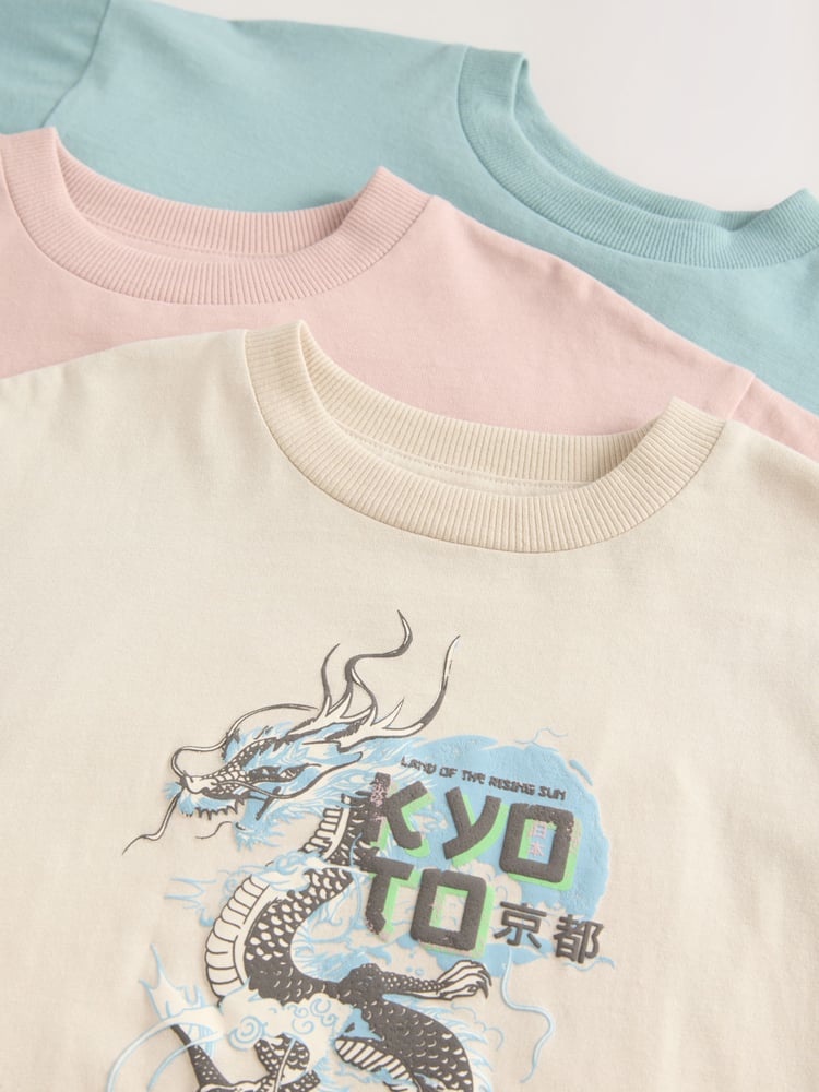 Grey/ Blue Japanese Relaxed Fit Graphic Print Short Sleeve 100% Cotton T-Shirts 3 Pack (3-16yrs) - Image 3 of 3