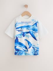 Blue/ White Shark Relaxed Fit Graphic Print Short Sleeve 100% Cotton T-Shirts 3 Pack (3-16yrs) - Image 3 of 7