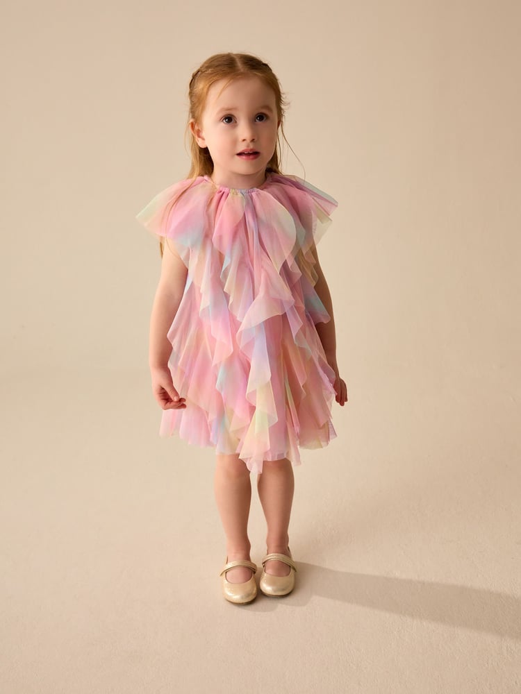 Rainbow Sleeveless Mesh Party Dress (3mths-7yrs) - Image 1 of 8