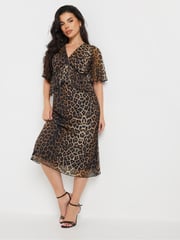 PixieGirl Petite Brown Animal Mesh Frill Midi Dress - Image 1 of 5