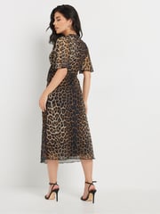 PixieGirl Petite Brown Animal Mesh Frill Midi Dress - Image 3 of 5