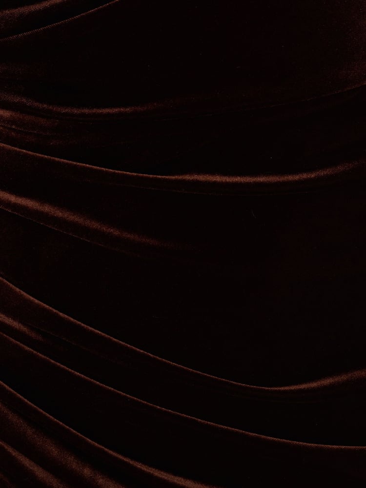 Adrianna Papell Velvet Column Brown Gown - Image 7 of 7
