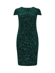 Yours Curve Green London Sequin Velvet Shift Dress - Image 5 of 5