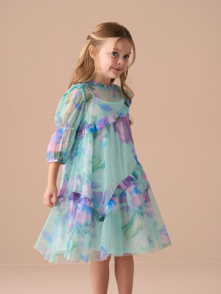 Angel & Rocket Blue Eleanor Floral Print Mesh Dress - Image 1 of 14