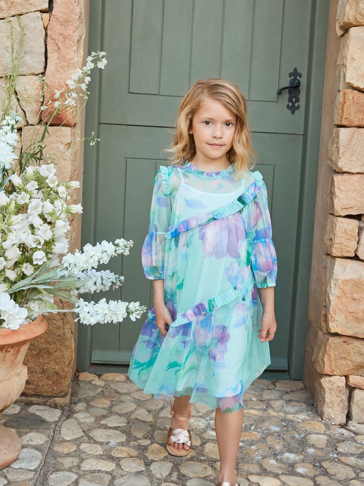 Angel & Rocket Blue Eleanor Floral Print Mesh Dress - Image 2 of 14