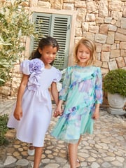 Angel & Rocket Blue Eleanor Floral Print Mesh Dress - Image 4 of 14