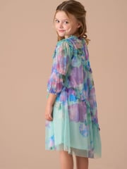 Angel & Rocket Blue Eleanor Floral Print Mesh Dress - Image 9 of 14