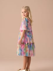 Angel & Rocket Light Pink Eleanor Floral Print Mesh Dress - Image 2 of 8