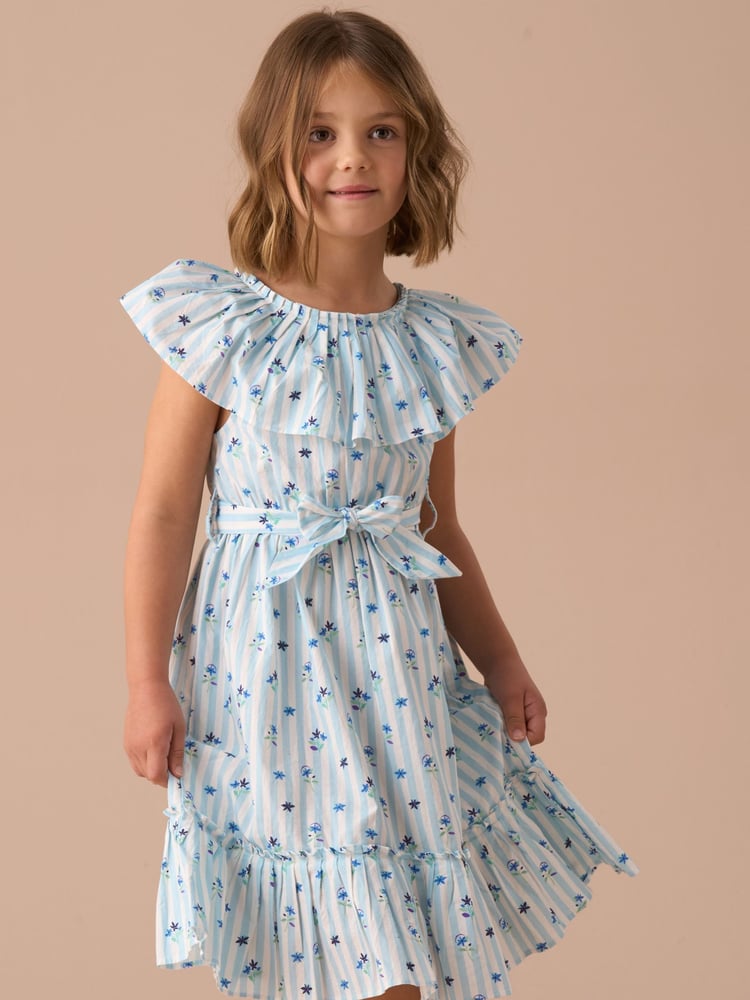 Angel & Rocket Blue Flori Pleated Collar 100% Cotton Dress - Image 1 of 7
