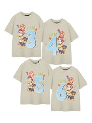 Vanilla Underground Cream Boys Birthday Age Paw Patrol 100% Cotton T-Shirt - Image 1 of 6