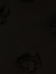 Adrianna Papell Crew Neck All Over 3D Flower Chiffon Top - Image 7 of 7