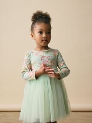 Green Long Sleeve Mesh Dress (3mths-7yrs) - Image 1 of 7