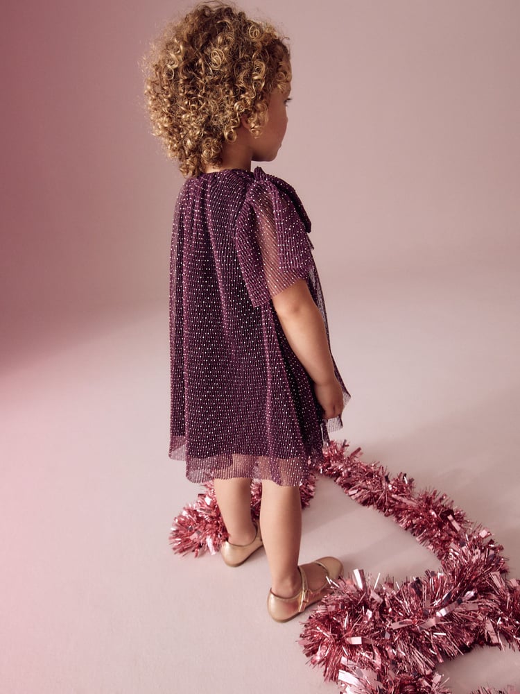 Plum Purple Sparkle Mesh Dress (3mths-7yrs) - Image 1 of 6