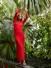 Scarlet Long Sleeve Lace Maxi Dress - Image 2 of 6