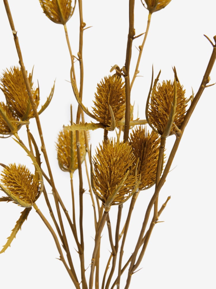 Ochre Yellow Artificial Dried Thistles In Ceramic Vase - Image 3 of 3