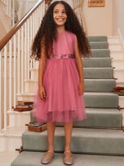 Rose Pink Mesh Tie Back Party Dress (3-16yrs) - Image 1 of 14