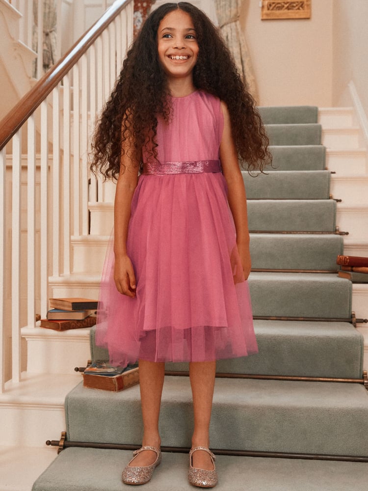 Rose Pink Mesh Tie Back Party Dress (3-16yrs) - Image 1 of 14