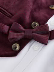 Plum Purple Velvet Waistcoat Set (3mths-7yrs) - Image 5 of 5
