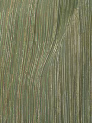 Adrianna Papell Green Metallic Crinkle Midi Dress - Image 6 of 6