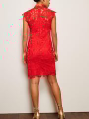 Red Lace Mini Shift Dress - Image 4 of 6