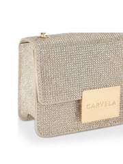 Carvela Bee Mini Xbody Bag - Image 4 of 5