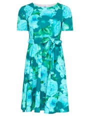 Yours Curve Green Floral Skater Dress - Image 5 of 5