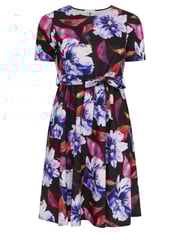 Yours Curve Black Floral Skater Dress - Image 5 of 5