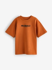 Rust Brown/Black/Blue/Grey Relaxed Fit Graphic Short Sleeve T-Shirts 4 Pack (3-16yrs) - Image 6 of 9