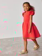 Baker by Ted Baker Rose Sleeve Detail Embossed Scuba Dress - Image 1 of 11